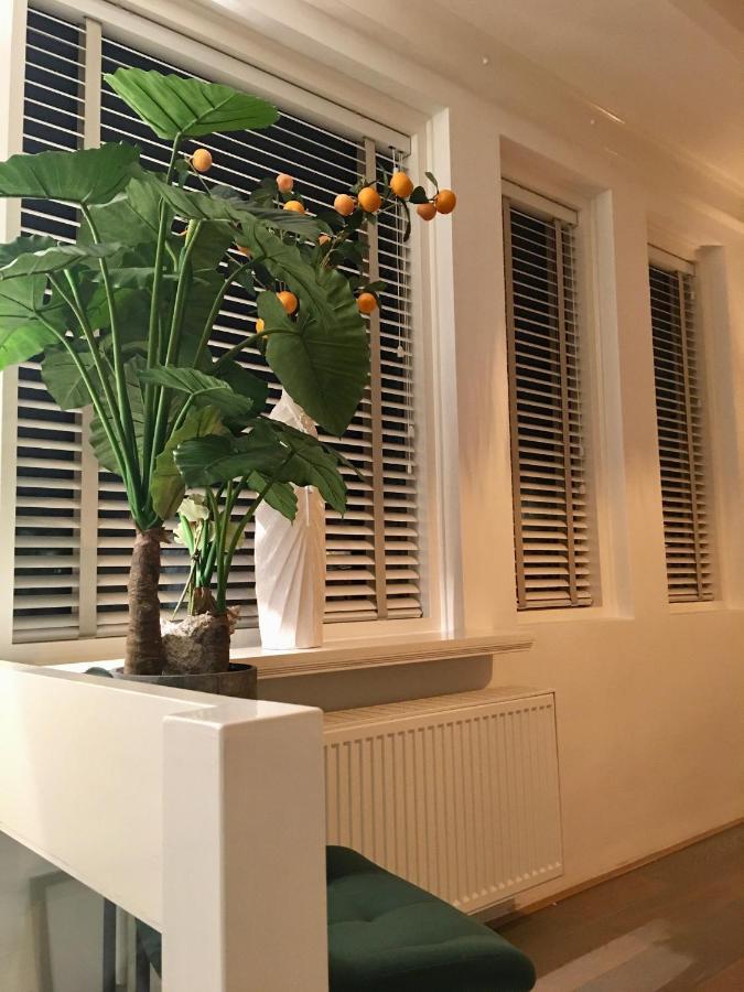 Vakantiehuis De Zeeparel Zandvoort Eksteriør bilde